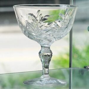 Stuart Aragon Crystal champagne coupes set of 5